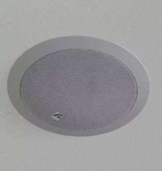 Подавитель диктофонов и микрофонов Д24 для БУБЕН-УЛЬТРА «МАКС» Вариант: «на потолок».