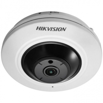 DS-2CD2955FWD-I (1.05мм.) - 5Мп Профессиональная купольная IP-видеокамера